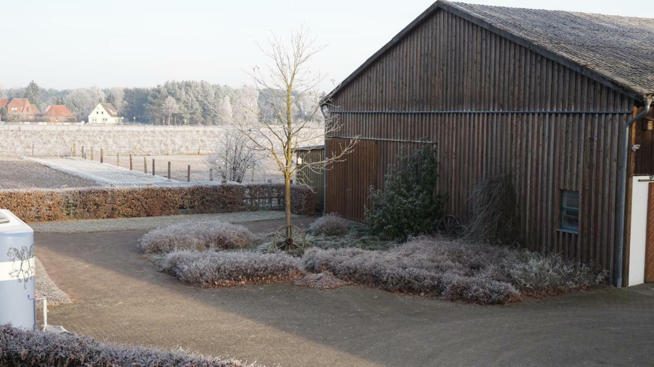 Ferienwohnung Wiesenblick Nahe Region Celle Und Hannover Buchholz Aller Exteriér fotografie